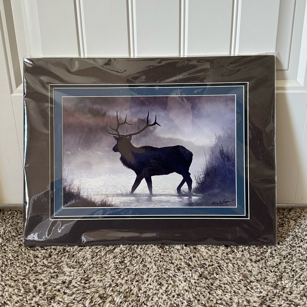 Beautiful Elk Print with Mat 12x16